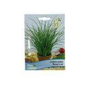Cebolinho - Broad Leaf - 1gr