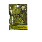 Alface Maravilha de Verano - 5gr