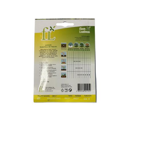 Alface Maravilha de Verano - 5gr
