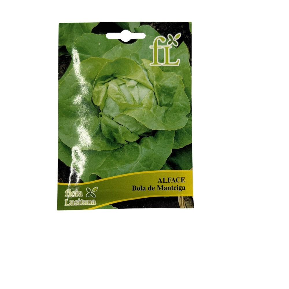 Alface - Bola de Manteiga - 10gr