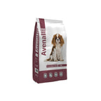 Avenal Dog Mini